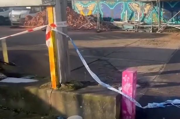 Four Fatalities Identified in Colchester Car Crash