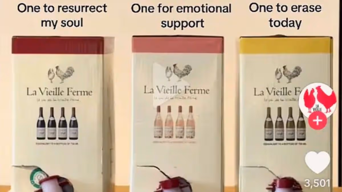 ‘Chicken wine’ TikTok advert banned for saying drink can give ’emotional support’