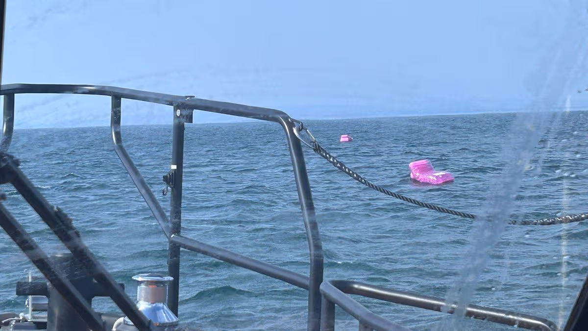 Three children rescued from sea after inflatables drift off Ayr beach