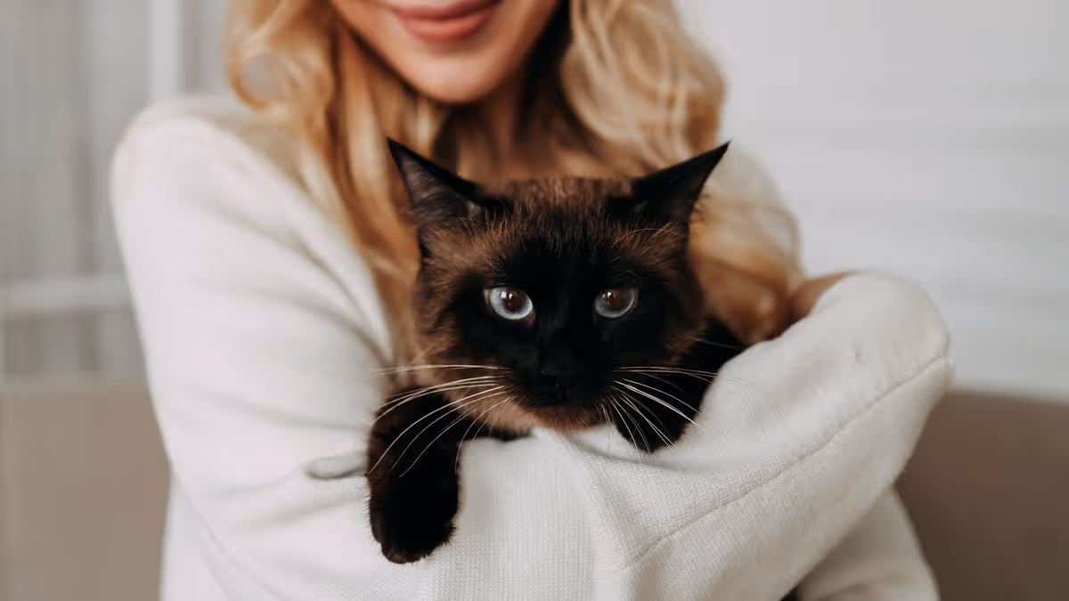 Vet says owners overlook ‘two-minute check’ that could ‘save pet’s life’