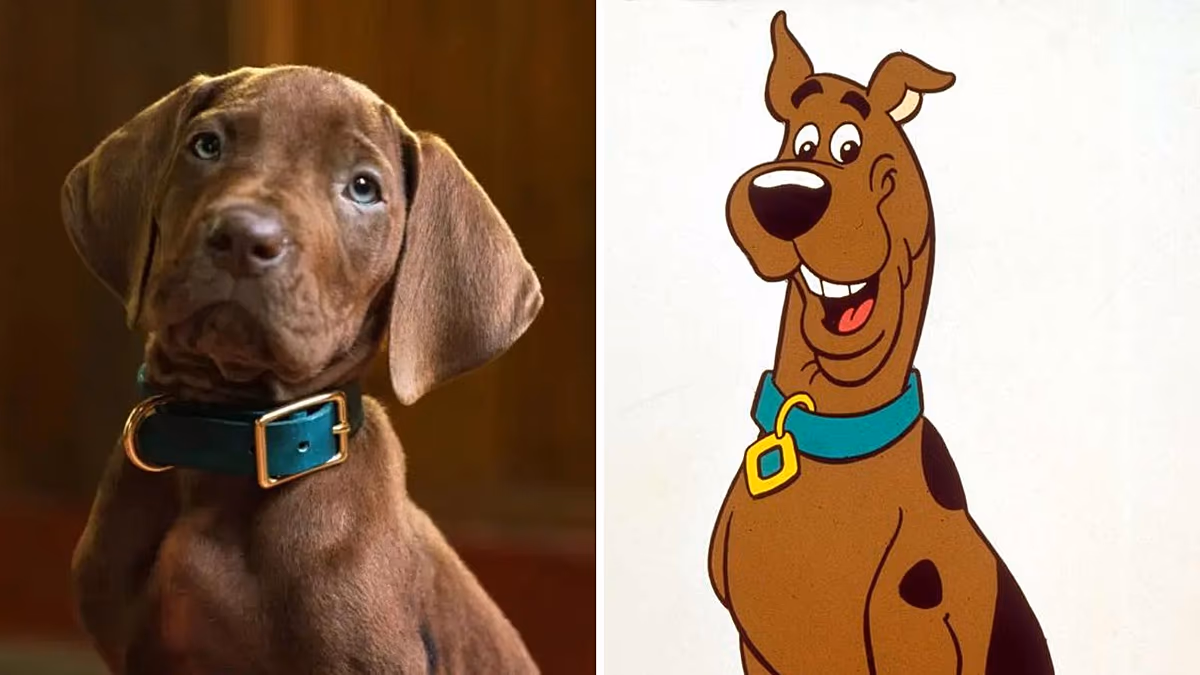 Zoinks! Fans outraged over four-legged star of Netflix’s Scooby-Doo live-action reboot